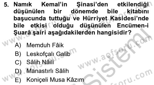 Tanzimat Dönemi Türk Edebiyatı 1 Dersi 2018 - 2019 Yılı Yaz Okulu Sınav Soruları 5. Soru