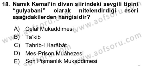 Tanzimat Dönemi Türk Edebiyatı 1 Dersi 2021 - 2022 Yılı (Final) Dönem Sonu Sınavı 18. Soru