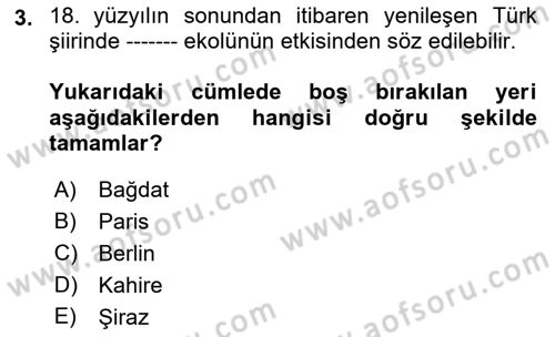 Tanzimat Dönemi Türk Edebiyatı 1 Dersi 2023 - 2024 Yılı (Final) Dönem Sonu Sınav Soruları 3. Soru