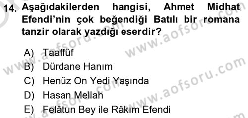 Tanzimat Dönemi Türk Edebiyatı 1 Dersi 2023 - 2024 Yılı Yaz Okulu Sınav Soruları 14. Soru
