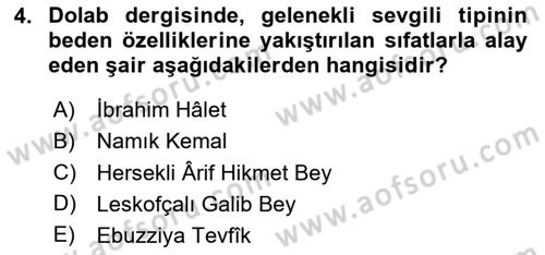 Tanzimat Dönemi Türk Edebiyatı 1 Dersi 2023 - 2024 Yılı Yaz Okulu Sınav Soruları 4. Soru