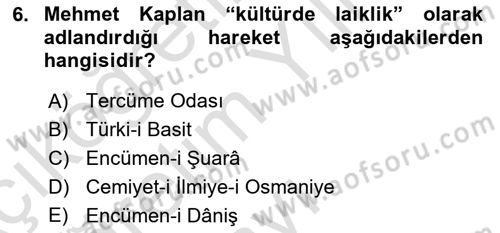 Tanzimat Dönemi Türk Edebiyatı 1 Dersi 2023 - 2024 Yılı Yaz Okulu Sınav Soruları 6. Soru