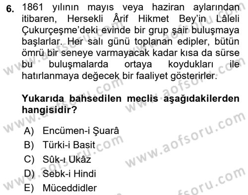 Tanzimat Dönemi Türk Edebiyatı 1 Dersi 2024 - 2025 Yılı (Vize) Ara Sınav Soruları 6. Soru
