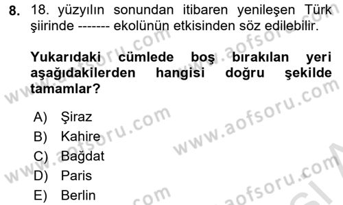 Tanzimat Dönemi Türk Edebiyatı 1 Dersi 2024 - 2025 Yılı (Vize) Ara Sınav Soruları 8. Soru