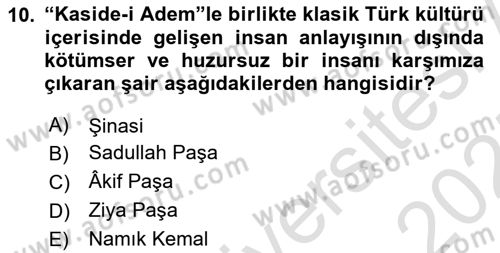 Tanzimat Dönemi Türk Edebiyatı 1 Dersi 2024 - 2025 Yılı (Final) Dönem Sonu Sınav Soruları 10. Soru
