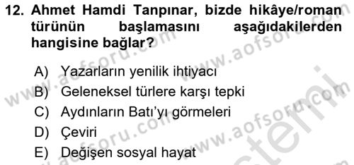 Tanzimat Dönemi Türk Edebiyatı 1 Dersi 2024 - 2025 Yılı (Final) Dönem Sonu Sınav Soruları 12. Soru