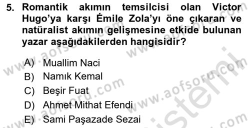 Tanzimat Dönemi Türk Edebiyatı 1 Dersi 2024 - 2025 Yılı (Final) Dönem Sonu Sınav Soruları 5. Soru