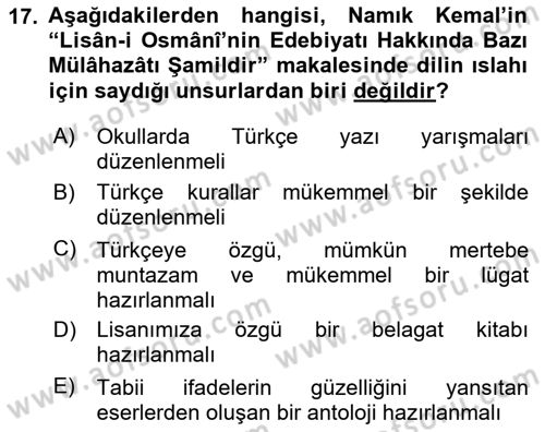 Tanzimat Dönemi Türk Edebiyatı 1 Dersi 2024 - 2025 Yılı Yaz Okulu Sınav Soruları 17. Soru