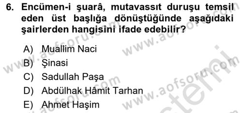 Tanzimat Dönemi Türk Edebiyatı 1 Dersi 2025 - 2026 Yılı (Vize) Ara Sınav Soruları 6. Soru