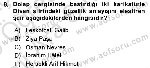 Tanzimat Dönemi Türk Edebiyatı 1 Dersi 2025 - 2026 Yılı (Vize) Ara Sınav Soruları 8. Soru