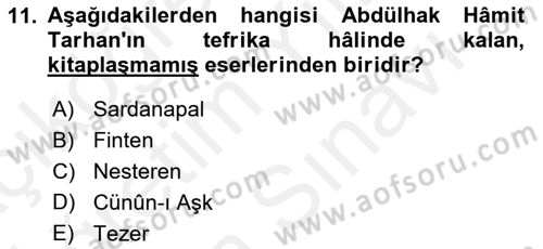 Tanzimat Dönemi Türk Edebiyatı 2 Dersi 2017 - 2018 Yılı (Vize) Ara Sınav Soruları 11. Soru