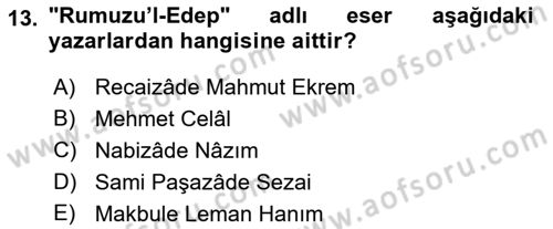 Tanzimat Dönemi Türk Edebiyatı 2 Dersi 2017 - 2018 Yılı (Vize) Ara Sınav Soruları 13. Soru