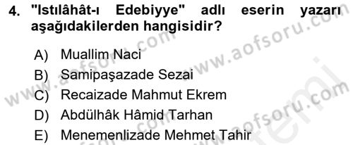 Tanzimat Dönemi Türk Edebiyatı 2 Dersi 2017 - 2018 Yılı (Vize) Ara Sınav Soruları 4. Soru