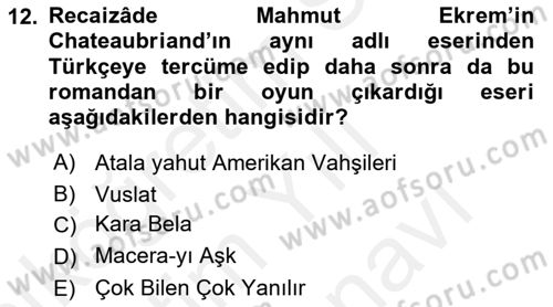 Tanzimat Dönemi Türk Edebiyatı 2 Dersi 2018 - 2019 Yılı (Vize) Ara Sınav Soruları 12. Soru
