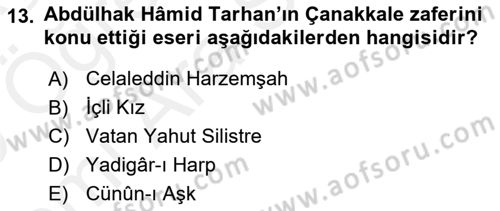 Tanzimat Dönemi Türk Edebiyatı 2 Dersi 2018 - 2019 Yılı (Vize) Ara Sınav Soruları 13. Soru