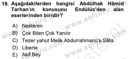 Tanzimat Dönemi Türk Edebiyatı 2 Dersi 2018 - 2019 Yılı (Vize) Ara Sınav Soruları 19. Soru