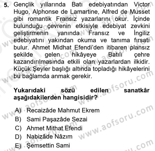 Tanzimat Dönemi Türk Edebiyatı 2 Dersi 2018 - 2019 Yılı (Vize) Ara Sınav Soruları 5. Soru