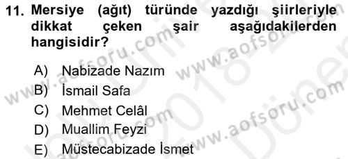 Tanzimat Dönemi Türk Edebiyatı 2 Dersi 2018 - 2019 Yılı (Final) Dönem Sonu Sınav Soruları 11. Soru