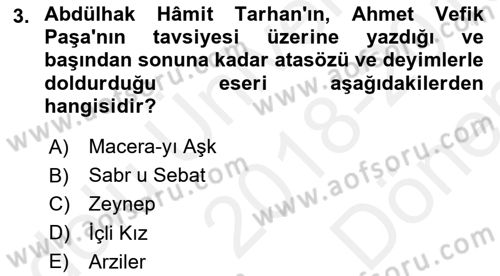 Tanzimat Dönemi Türk Edebiyatı 2 Dersi 2018 - 2019 Yılı (Final) Dönem Sonu Sınav Soruları 3. Soru