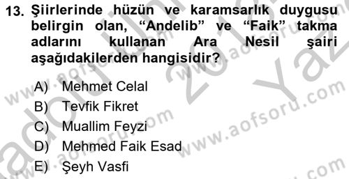 Tanzimat Dönemi Türk Edebiyatı 2 Dersi 2018 - 2019 Yılı Yaz Okulu Sınav Soruları 13. Soru