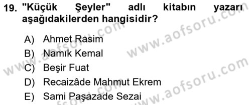 Tanzimat Dönemi Türk Edebiyatı 2 Dersi 2018 - 2019 Yılı Yaz Okulu Sınav Soruları 19. Soru