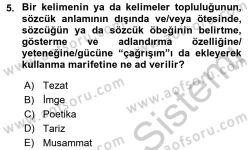 Tanzimat Dönemi Türk Edebiyatı 2 Dersi 2018 - 2019 Yılı Yaz Okulu Sınav Soruları 5. Soru