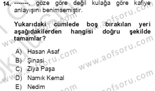 Tanzimat Dönemi Türk Edebiyatı 2 Dersi 2020 - 2021 Yılı Yaz Okulu Sınav Soruları 14. Soru