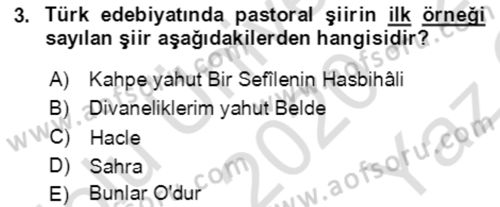 Tanzimat Dönemi Türk Edebiyatı 2 Dersi 2020 - 2021 Yılı Yaz Okulu Sınav Soruları 3. Soru