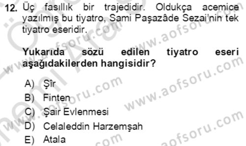 Tanzimat Dönemi Türk Edebiyatı 2 Dersi 2021 - 2022 Yılı (Vize) Ara Sınav Soruları 12. Soru