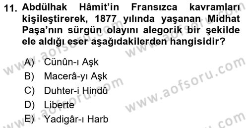 Tanzimat Dönemi Türk Edebiyatı 2 Dersi 2023 - 2024 Yılı (Vize) Ara Sınav Soruları 11. Soru