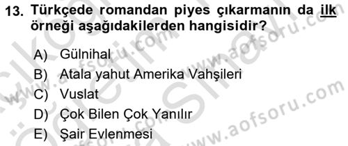 Tanzimat Dönemi Türk Edebiyatı 2 Dersi 2023 - 2024 Yılı (Vize) Ara Sınav Soruları 13. Soru