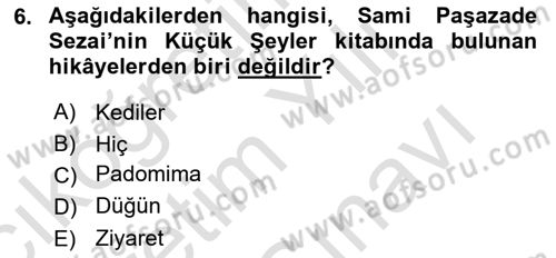Tanzimat Dönemi Türk Edebiyatı 2 Dersi 2023 - 2024 Yılı (Vize) Ara Sınav Soruları 6. Soru