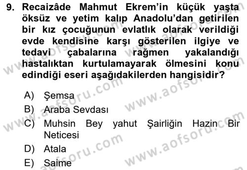 Tanzimat Dönemi Türk Edebiyatı 2 Dersi 2023 - 2024 Yılı (Vize) Ara Sınav Soruları 9. Soru