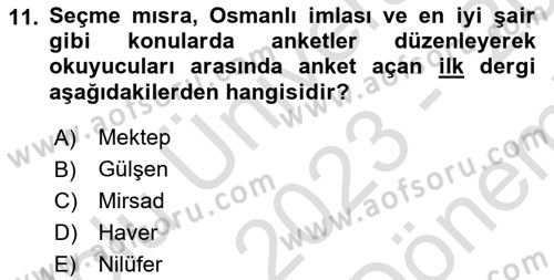 Tanzimat Dönemi Türk Edebiyatı 2 Dersi 2023 - 2024 Yılı (Final) Dönem Sonu Sınav Soruları 11. Soru