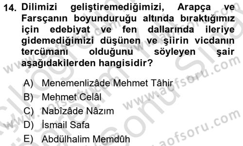 Tanzimat Dönemi Türk Edebiyatı 2 Dersi 2023 - 2024 Yılı (Final) Dönem Sonu Sınav Soruları 14. Soru