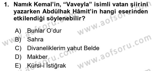 Tanzimat Dönemi Türk Edebiyatı 2 Dersi 2023 - 2024 Yılı Yaz Okulu Sınav Soruları 1. Soru