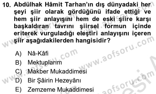 Tanzimat Dönemi Türk Edebiyatı 2 Dersi 2023 - 2024 Yılı Yaz Okulu Sınav Soruları 10. Soru