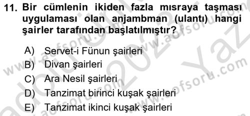 Tanzimat Dönemi Türk Edebiyatı 2 Dersi 2023 - 2024 Yılı Yaz Okulu Sınav Soruları 11. Soru