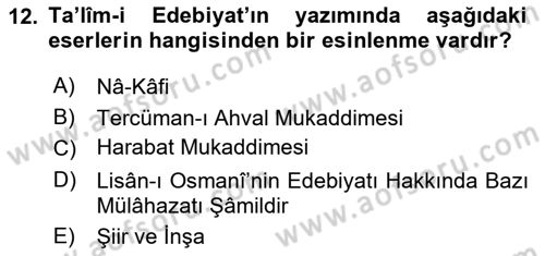 Tanzimat Dönemi Türk Edebiyatı 2 Dersi 2023 - 2024 Yılı Yaz Okulu Sınav Soruları 12. Soru