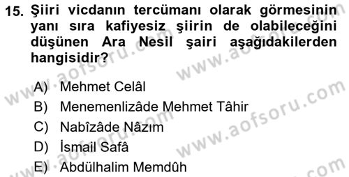 Tanzimat Dönemi Türk Edebiyatı 2 Dersi 2023 - 2024 Yılı Yaz Okulu Sınav Soruları 15. Soru