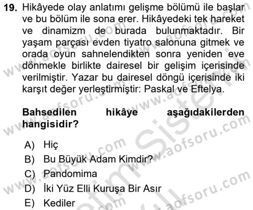Tanzimat Dönemi Türk Edebiyatı 2 Dersi 2023 - 2024 Yılı Yaz Okulu Sınav Soruları 19. Soru