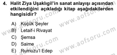 Tanzimat Dönemi Türk Edebiyatı 2 Dersi 2023 - 2024 Yılı Yaz Okulu Sınav Soruları 4. Soru