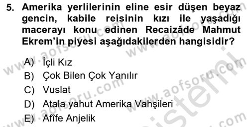 Tanzimat Dönemi Türk Edebiyatı 2 Dersi 2023 - 2024 Yılı Yaz Okulu Sınav Soruları 5. Soru