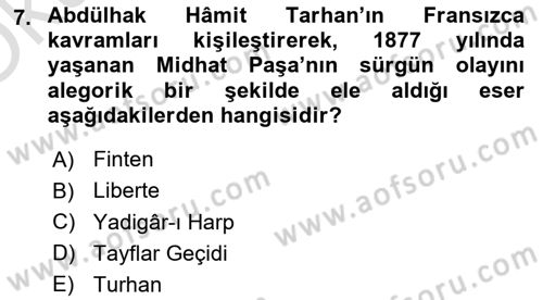 Tanzimat Dönemi Türk Edebiyatı 2 Dersi 2023 - 2024 Yılı Yaz Okulu Sınav Soruları 7. Soru