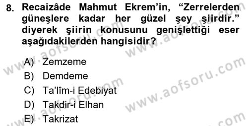 Tanzimat Dönemi Türk Edebiyatı 2 Dersi 2023 - 2024 Yılı Yaz Okulu Sınav Soruları 8. Soru
