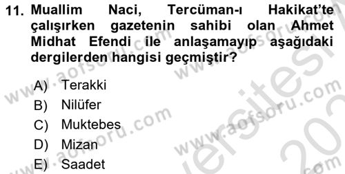 Tanzimat Dönemi Türk Edebiyatı 2 Dersi 2024 - 2025 Yılı (Final) Dönem Sonu Sınav Soruları 11. Soru