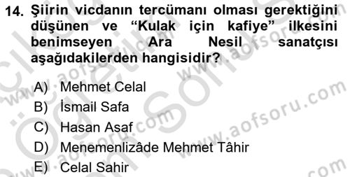 Tanzimat Dönemi Türk Edebiyatı 2 Dersi 2024 - 2025 Yılı (Final) Dönem Sonu Sınav Soruları 14. Soru