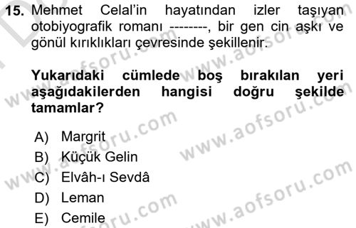 Tanzimat Dönemi Türk Edebiyatı 2 Dersi 2024 - 2025 Yılı (Final) Dönem Sonu Sınav Soruları 15. Soru