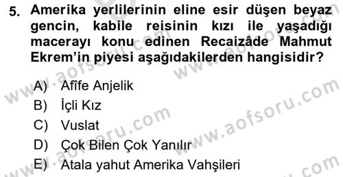 Tanzimat Dönemi Türk Edebiyatı 2 Dersi 2024 - 2025 Yılı (Final) Dönem Sonu Sınav Soruları 5. Soru