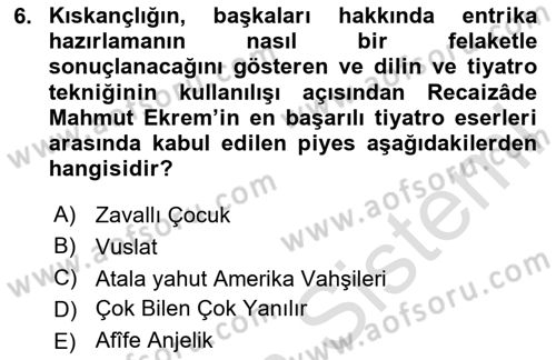 Tanzimat Dönemi Türk Edebiyatı 2 Dersi 2024 - 2025 Yılı (Final) Dönem Sonu Sınav Soruları 6. Soru